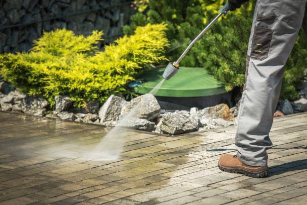 Best Fence Cleaning and Maintenance in Carolina Shores, NC
