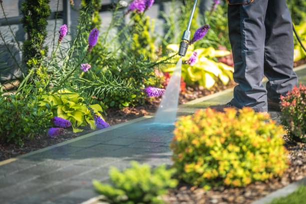 Best Residential Pressure Washing in Carolina Shores, NC